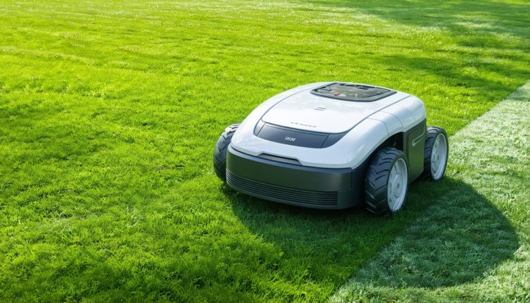 Cut Through the Clutter: Do You Need a Robot for Your Lawn?